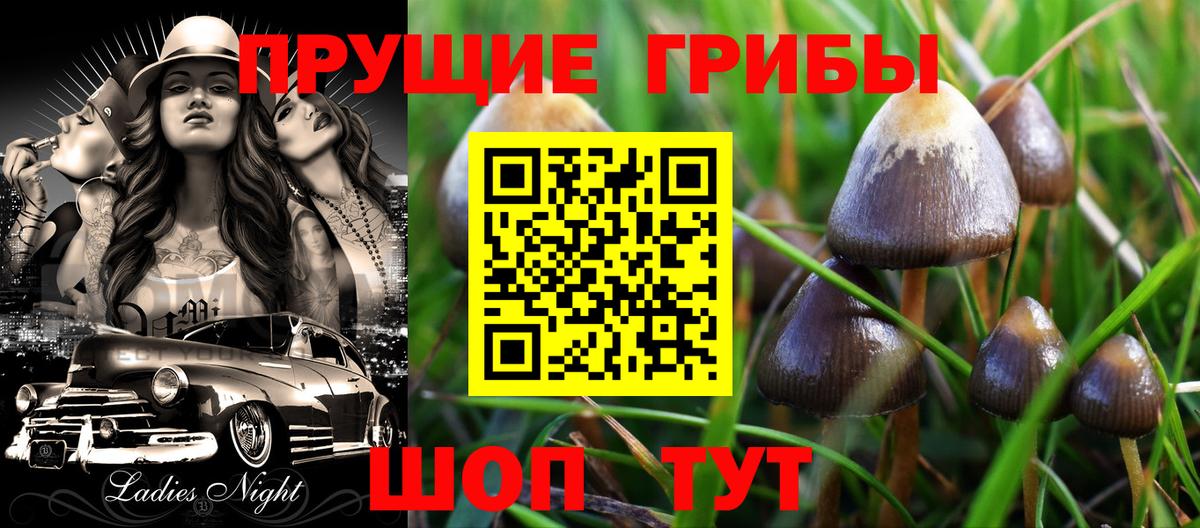 Галлюциногенные грибы мухоморы Аксай